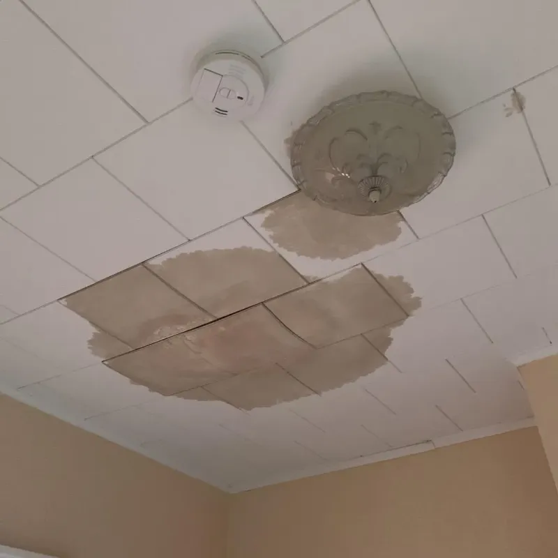 Ceiling Water Damage Repair in Oakfield, NY