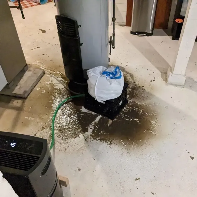 Sewage Backup Cleanup Service in Oakfield, NY
